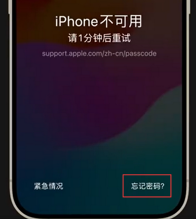 尧都苹果手机密码维修分享iPhone忘记了刚设置的密码 