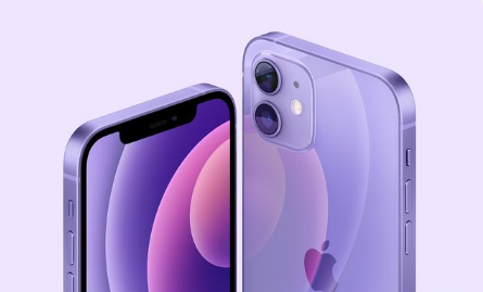 尧都苹果手机维修分享紫色版iPhone 12有什么技术亮点 