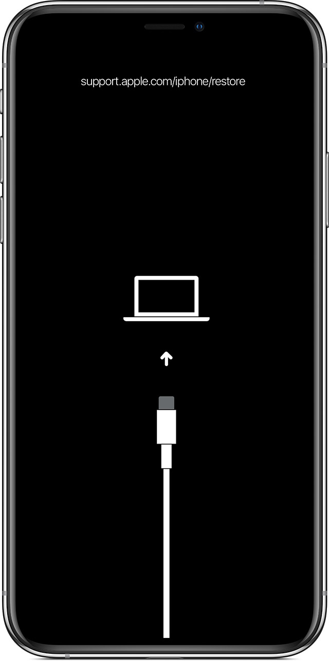 尧都苹果手机维修分享iPhone 输入锁屏密码出现方框，且原密码不正确怎么办 